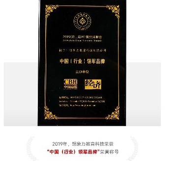 2017年中国行业领导品牌